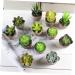 MAGICLULU 2pcs Faux Plant Simulation Plant Small Succulent Plants Home D cor Succulent Simulation Succulents Arrangements Suculentas Artificial Plants Decorative Plants Mini Cactus - Buy Online on GoSupps.com