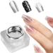 Metallic Paint Gel Polishing Gel for Manicures | UV/LED Mirror Art Painting Decoration for Home Manicures Beginners Creative Design