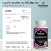 Milk Thistle Capsules High Strength & Vegan - 90 Capsules, 500mg Extract with 80% Silymarin - Natural Food Supplement, German Quality - 3 Month Supply - Buy Online on GoSupps.com