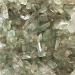 10-20mm Natural Green Ghost Phantom Stone Crystal Quartz Gemstone Specimen Natural Quartz Crystals 100g Stone Mineral Specimen - Buy Online on GoSupps.com
