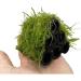 Aqua Essentials Java Moss Shrimp Shelter - Buy Online on GoSupps.com
