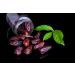 5kg de dattes BIO Medjool avec noyau - dattes naturelles et s ch es doucement provenant d Isra l sans aucun additif - Buy Online on GoSupps.com