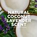 Tom's of Maine Coconut Lavender Deodorant | Plastic-Free & Aluminum-Free | 2 oz | Natural Strength | Packaging May Vary - Buy Online on GoSupps.com