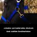 Adjustable Horse Halter for Warmblood Thoroughbred & Cold Blood Safe Tear-Resistant | Royal Blue Shetland Pony (Shetty) Stable & Pasture Use - Buy Online on GoSupps.com