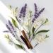 DIVAIN-568 - Inspired by Mon Grlaiinss - Perfume Impression for Woman - Oriental Fragrance - Buy Online on GoSupps.com