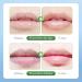 Shantou Yingji 20 g natural moisturizing lip mask nonsticky vegan and not tested on animals nourishing lip care for lightening lip wrinkles suitable for all people avocado lip mask 4 - Buy Online on GoSupps.com