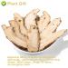 Buy Organic Angelica Root 70g - Dried Cut Root & Tea | Premium Archangelica Officinalis for Herbal Remedies - International Shipping - Buy Online on GoSupps.com