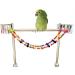 Wonninek Bird Parrot Toys 10-Step Ladders Swing Chewing Toys Hanging Pet Bird Cage Accessories Swing Toy for Small Parakeets Cockatiels Lovebirds Conures Macaws - Buy Online on GoSupps.com