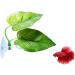 Cousduobe Betta Fish Leaf Pad - Enhances Health with Double Leaf Design for Natural Habitat Simulation - Buy Online on GoSupps.com