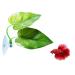 Cousduobe Betta Fish Leaf Pad - Improves Betta's Health by Simulating The Natural Habitat（ Double Leaf Design one Big and one Small ）