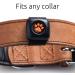 PitPat Dog Activity Monitor - No GPS, No Recharging - Suitable for All Dogs - Smart Fitness Tracker - 100% Waterproof - Buy Online on GoSupps.com
