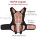 Self-Heating Magnetic Back Support Waist Brace - Posture Correction Belt for Lumbar Pain Relief (Large) - International Shipping Available - Buy Online on GoSupps.com