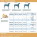 Pet Large Dogs Raincoat | Waterproof Jacket for Dogs | Adjustable Lightweight Vest | XXL Size 2XL 76-85lbs | Orange - Buy Online on GoSupps.com