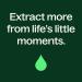 Plant Therapy Lime Steam Distilled Essential Oil 30 mL (1 oz) 100% Pure Undiluted Fresh Scent Mood Boosting Immune Support Lime Steam Distilled 1 Fl Oz (Pack of 1) - Buy Online on GoSupps.com