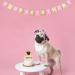 Pug Happy Birthday Cake Topper - Puppy Pet Theme Welcome new members Boy Girl Birthday Party Supplies Decorations - Buy Online on GoSupps.com