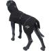 Rukka Pets HAYTON ECO Raincoat for Dogs - Black Size 45 | Sustainable Pet Apparel for All Weather - Buy Online on GoSupps.com