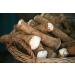 Horseradish Root, Sauget, 8 ounces (Sold by Weight). Great for Planting, Seasoning or Sauces. A taste delight.
