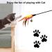 Baosroy Interactive Cat Toys - Spring Teaser & Feather Toys for Kittens & Cats | Shop Quality Cat Playtime - Buy Online on GoSupps.com
