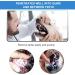 Effective Tartar Remover for Dogs & Cats - 3PC Stainless Steel Tooth Cleaning Set - Buy Online on GoSupps.com