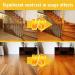 Beeswax Spray Furniture Polish 100ml - Premium Wood Care Wax for Solid Furniture | Water-Resistant Polishing & Maintenance Supplies - Buy Online on GoSupps.com