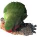 Cork Seat Rod for Nymphensittich 10cm Bird Seat with Bent Bar for Comfort & Claw Care | Ideal for Parrots & Birds - Buy Online on GoSupps.com