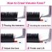 Buy Volume Eyelash Extensions 0.05/0.07 | Easy Fan CC/D Curl | 2D-20D Self Fanning Lashes | 8-15mm Length | Long Lasting Blooming Lashes - Buy Online on GoSupps.com