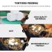 FRCOLOR 24 Pcs Turtle Teeth Supplements for Shrimp Mineral Bead Turtle Tank Mineral Calcium Care - Buy Online on GoSupps.com
