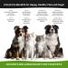 Natural Calm 7000 Formula - Certified Organic Omega 3 6 9 Hemp Oil CO2 Extract - Hip & Joint Supplement for Arthritis Pain Relief Anxiety & Stress Relief | Omega 3 Supplements for Dogs & Cats | 30ML 1 - Buy Online on GoSupps.com