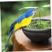 Toyvian 5pcs Sculptures Vivid Statue Desktop Supply Adornment Realistic Figure Birds Ornament Blue for 20x5cmx5pcs Bluex5pcs - Buy Online on GoSupps.com