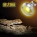 Exo Terra Intense Basking Spot Lamp - 50W R20 E27 Heat Spot Lamp (Pack of 2) for Reptiles & Amphibians - International Shipping Available - Buy Online on GoSupps.com