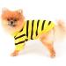Buy Paidful Striped Dog Shirt for Small & Medium Dogs | Breathable Summer Vest with Red Heart | Perfect for Puppies Chihuahuas & Yorkies | Dark Yellow - International Shipping Available - Buy Online on GoSupps.com