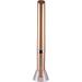 Buy HI-928 Metallic Gold Electric Toothbrush - Portable Travel Size | Best International Shipping - Buy Online on GoSupps.com