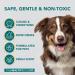 The Healthy Dog Co 500ml Flea, Tick & Lice Shampoo for Dogs and Cats - Gentle Deep Cleansing Formula for Puppies and Kittens - Buy Online on GoSupps.com