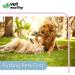 Vet Worthy Liquid Bandage for Dogs - Dog Wound Care Solution with Aloe Vera - 4oz - Buy Online on GoSupps.com