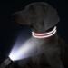 Tagme Personalized Reflective Dog Collar for Large Dogs - Embroidered Nylon with Pet Name & Phone Number - Red XL (1 Pack) - Buy Online on GoSupps.com