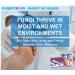 PUREFY Athlete Foot Spray 4oz 2pk - Natural Healing, Odor Removal, No Residue | Purefypro Dermal Technology | Safe for All - Buy Online on GoSupps.com