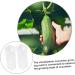 SUPVOX Cucumber Shaping Molds 2pcs Kit Stereotypes Snow DIY Forming for Rectangle Former Shaped Supplies Plastic Growing - Buy Online on GoSupps.com
