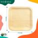 ECO SOUL 100% Compostable 10 Inch Palm Square Leaf Plates 50-Pack | Eco-Friendly Bamboo Disposable Plates Set | Heavy Duty Square Plates 10 50 Count - Buy Online on GoSupps.com
