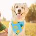 EXPAWLORER Dog Cooling Bandana Set - 4 Pack | Cute Fruit Patterns | Summer Triangle Scarfs for Dogs - Buy Online on GoSupps.com
