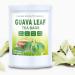 Guava Leaf Fruit Tea Bags - Natural Herbal Tea (30 count) - Buy Online on GoSupps.com