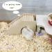 Eyksta Wooden Hamster House with Stairs - Cozy Hideout & Ladder Toy for Hamsters (17x8.5x9) - Ideal Hamster Accessories - Buy Online on GoSupps.com