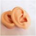 F Simulation Ear Template - Flexible Silicone Artificial Ear Template for Acupuncture Picking Picking Sweet Props View Studs - Buy Online on GoSupps.com