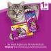 Whiskas Dry Adult 1 + with Chicken 1 9 Kg - Buy Online on GoSupps.com