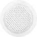 Small Shower Head Electroplating Fine Holes Small Hand Held Shampoo Shower Spray Head for Hair Salon Use - Buy Online on GoSupps.com