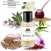 Monac - Inspired By XERJOFFF Collection - Niche Inspired Perfume - Eau de Parfum - 90%-99% similar Long Lasting 8-15 hour (1.7/50ml) Premium Quality Ingredient (Tourino 22 inspired by Torino 22) Tourino inspired by Torino 22 - Buy Online on GoSupps.com