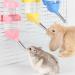 4 Pcs 80ml Hamster Water Bottles No Grip Hanging Water Dispenser Small Animal Automatic Water Feeder for Hamster Rabbit Guinea Pig Squirrel Small animal - Buy Online on GoSupps.com