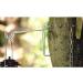 Buy Petromax Lamp Holder - Durable Stylish & International Shipping Available - Buy Online on GoSupps.com