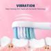 Girls Proalpha Electric Toothbrush for Kids Age 3-12 | Rechargeable Sonic Toothbrush with Timer | 2 Reminder Brush Heads | IPX7 Waterproof | Pink - Buy Online on GoSupps.com