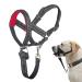 Barkeless dog collar no pulling headtaking with soft upholstery stable dog half for large merdium small dogs free training instructions included in the scope of delivery L red pad/black