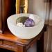 Selenite Handmade Charging Bowl - 6cm | Spiritual Energy Cleansing Plate for Meditation and Jewelry Storage - Buy Online on GoSupps.com